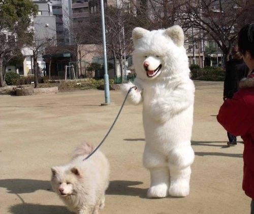 Funny pictures from Japan. Japanese pictures that will make you LOL!