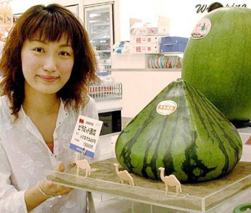 Funny pictures from Japan. Japanese pictures that will make you LOL!