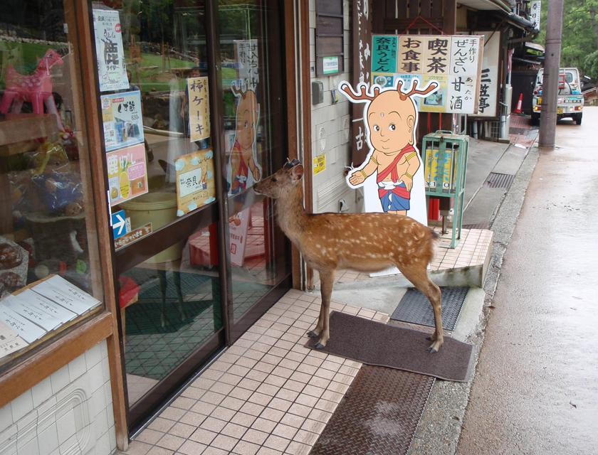 Funny pictures from Japan. Japanese pictures that will make you LOL!