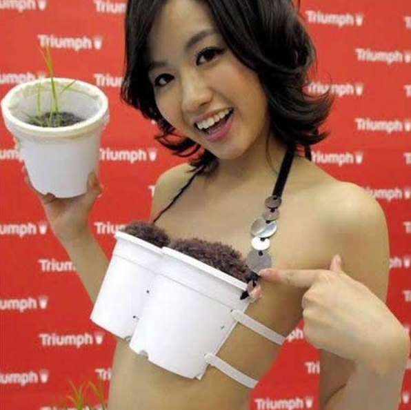 Funny pictures from Japan. Japanese pictures that will make you LOL!