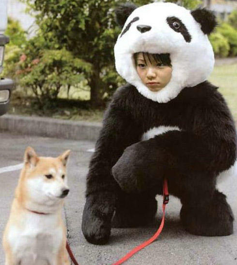 Funny pictures from Japan. Japanese pictures that will make you LOL!